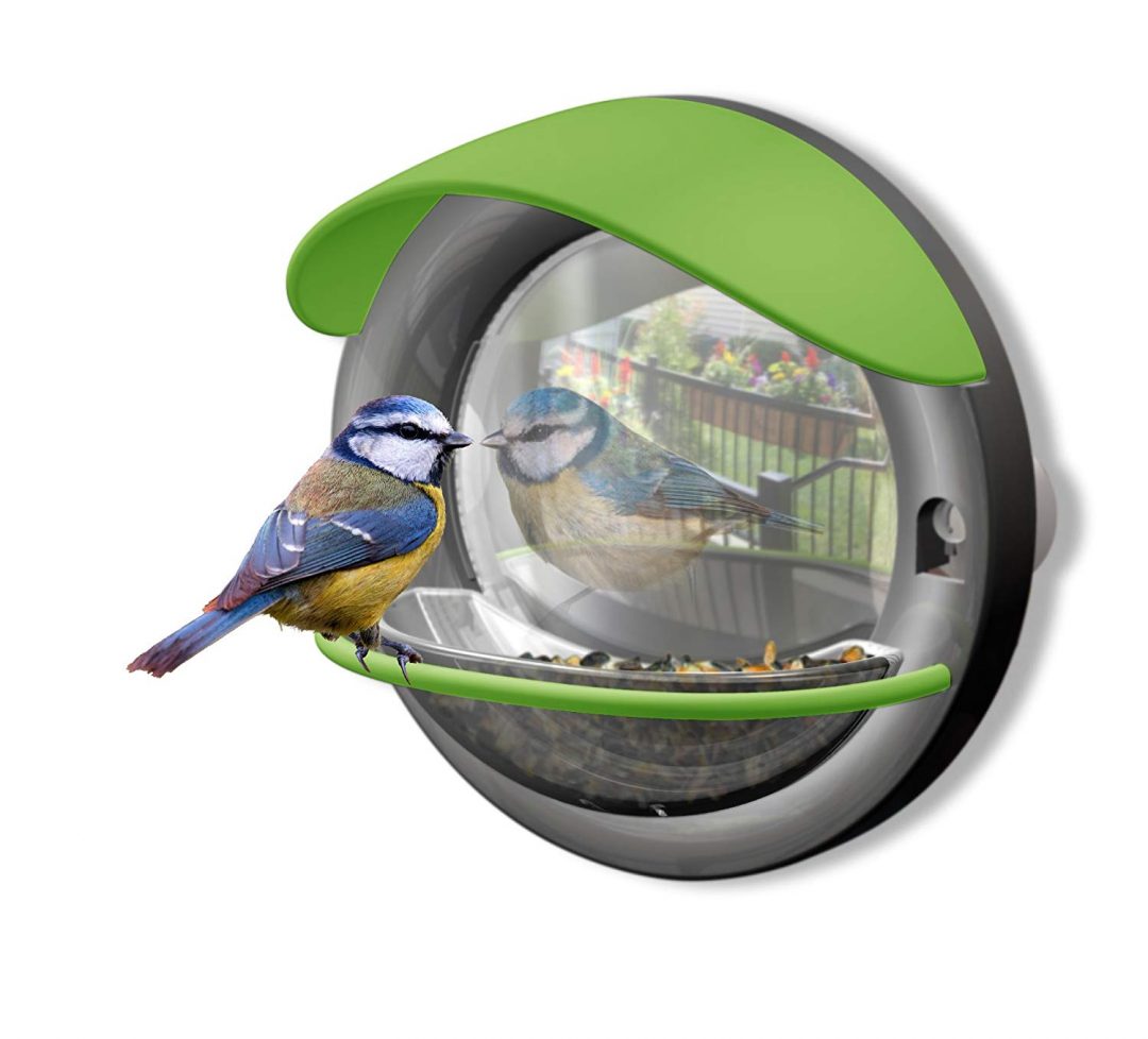 Best Bird Feeders (UK) 2023 Including Squirrel Proof & Window
