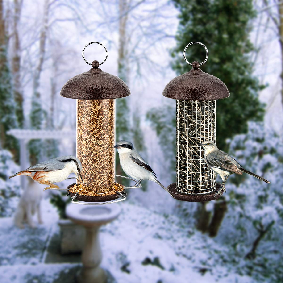 Best Bird Feeders Uk 2020 Including Squirrel Proof Window Feeder