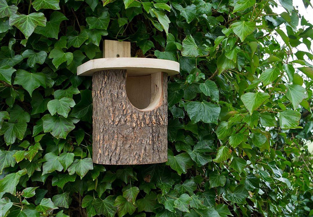 Robin Box Best Nesting Box For Robins - Garden Bird Feeder