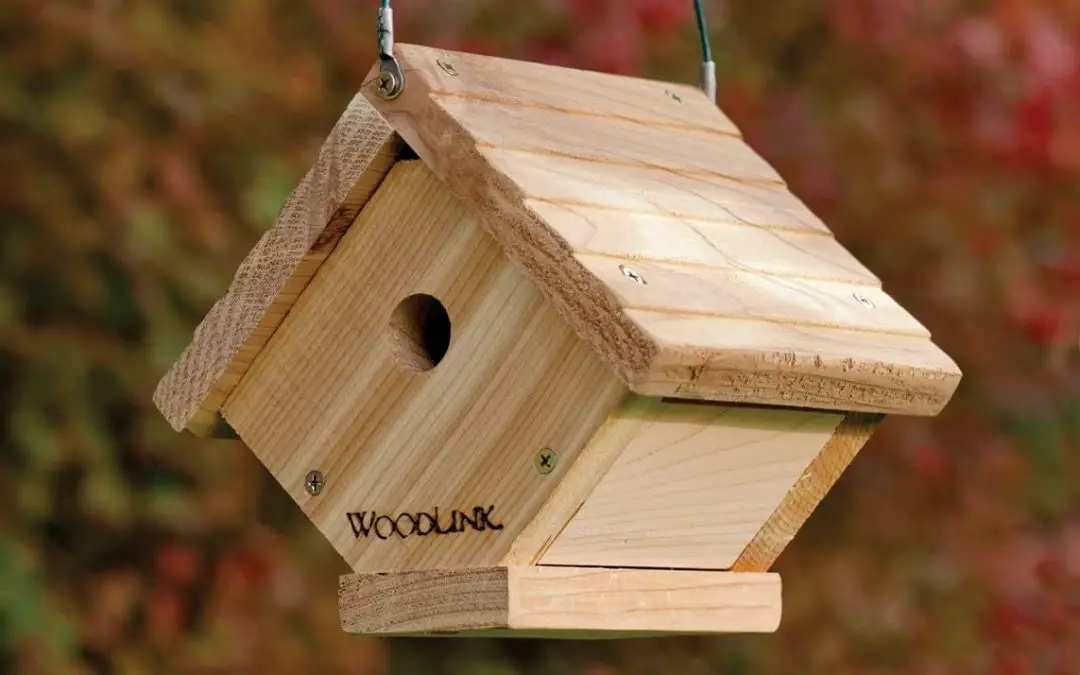 Best Nesting Box for Wrens