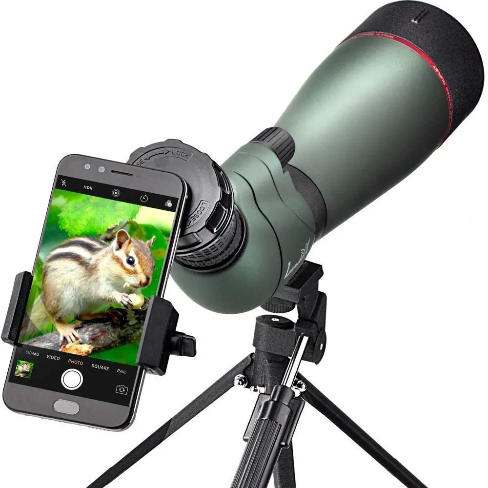 Best Bird Watching Monocular 2023 Garden Bird Feeder