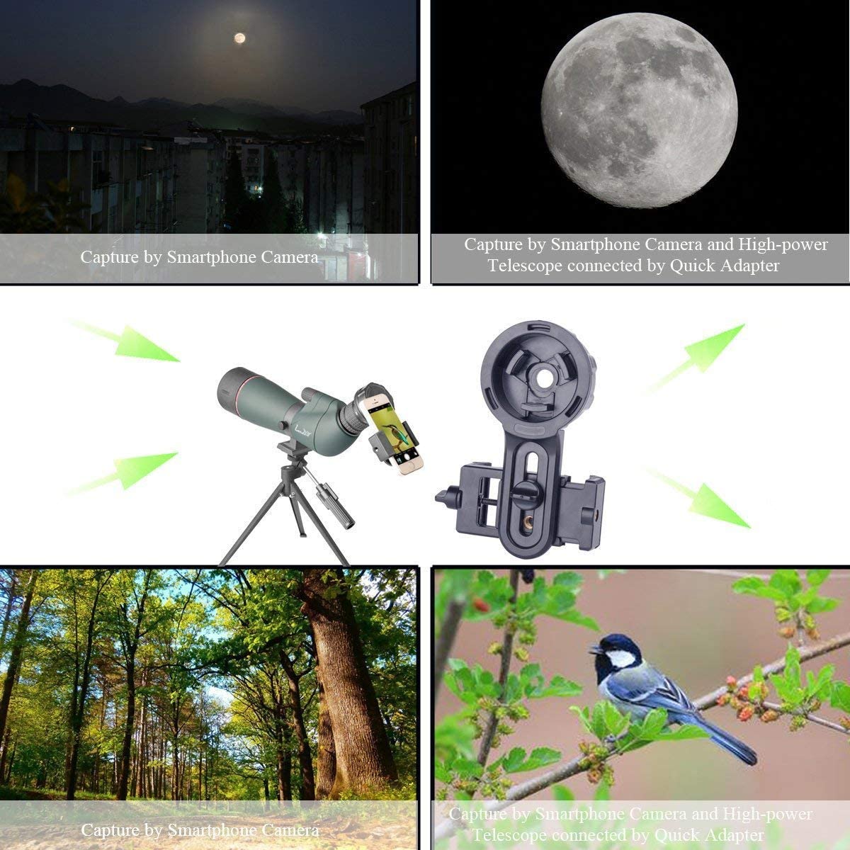 Best Bird Watching Monocular 2023 Garden Bird Feeder